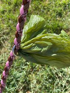 All'ingrosso prodotti per animali domestici intrecciati mani libere in esecuzione doppia spessa corda tattica Paracord guinzaglio cane - Product Image 5