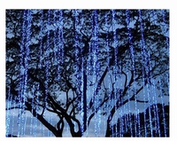 Rideaux lumineux à LED pour fenêtre, guirlande lumineuse de Noël, rideau lumineux en cascade avec un excellent prix