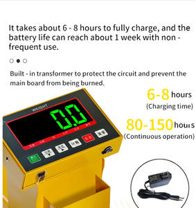 Transpaleteira Hidráulica Manual Elétrica com Balança de Pesagem Capacidade de 3000kg Display LED Alta Precisão Garfo de Aço Manganês ODM - Product Image 3