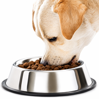 Bol pour chien en acier inoxydable avec logo personnalisé, antidérapant, pour nourriture et eau, base en caoutchouc, facile à nettoyer, motif os, pour chiens et chats, OEM