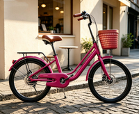 Prix d'usine – Vélo de ville 20/22 pouces en acier à haute teneur en carbone avec panier en plastique pour femme – En promotion