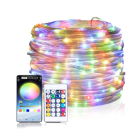 Guirlandes lumineuses LED USB RGB Dream Color de 5 m, 10 m, 20 m avec télécommande et contrôle par application pour la décoration de chambre, de mariage, d'arbre de Noël