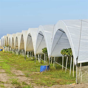 Serra a tunnel multispan da 1 ettaro per agricoltura, con sistema di drenaggio per mirtilli e fragole - Product Image 3