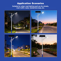 Lampadaire solaire LED IP66 de haute qualité 100W/200W avec panneau solaire pour allée de villa et parcours de golf