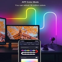 Bande lumineuse LED flexible intelligente RGB WS2812b à commande par application, décoration de jardin de Noël, éclairage extérieur étanche
