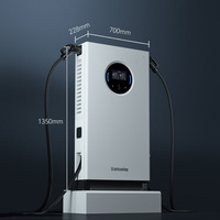 Chargeur EV double pistolet 60 kW DC GB/T 200A, station de charge rapide pour usage commercial, prise de charge rapide, nouvelle station de charge pour voitures électriques