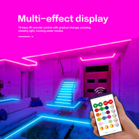 CL Lighting Fabricant OEM ODM SMD 5050 Bandes LED Intérieures RGB Intelligentes pour Pièce