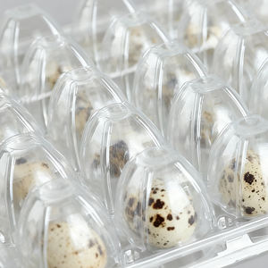 ถาดใส่ไข่30ฟองสำหรับสัตว์เลี้ยงถาดพลาสติกใสแบบใช้แล้วทิ้งถาดใส่ไข่นกกระทาสำหรับใส่ไข่30ฟอง - Product Image 5