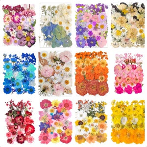 Lot de 35 fleurs séchées pressées jaunes et blanches pour résine époxy, cadre de coque de téléphone, décoration artistique et spécimens - Product Image 3