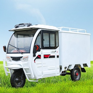 Repuestos para Triciclo Eléctrico de Carga <span class=keywords><strong>con</strong></span> Batería de Litio y Plomo-Ácido, Cabina para Triciclo Eléctrico, Furgoneta Eléctrica Pequeña - Product Image 4