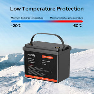 640Wh 50AH 12.8V LiFePO4สถานะของแข็งแบตเตอรี่ที่ IP65การจัดอันดับสร้างระบบเก็บพลังงานแสงอาทิตย์แบบกำหนดเองสำหรับบ้าน - Product Image 5