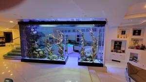 होटल लॉबी और रेस्तरां के लिए गर्म बिक्री बड़े वाणिज्यिक ऐक्रेलिक सुरंग मछली टैंक - Product Image 5