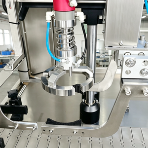 Machine de remplissage et d'emballage automatique de poudre de protéines de lactosérum, ligne de production de remplissage de bouteilles à haute vitesse, fourniture OEM - Product Image 3