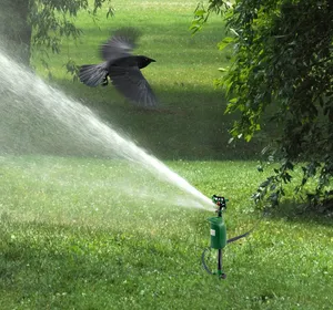 Ahuyentador de animales <span class=keywords><strong>solar</strong></span>, rociador activado por movimiento, repelente de pájaros y agua, rociador disuasorio de animales - Product Image 1