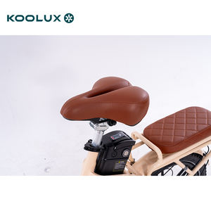 Bicicleta Eléctrica Plegable Urbana para Adultos, Motor sin Escobillas de 250W, Batería de 48V, 70-150km de Autonomía, Neumáticos Gruesos de 20" y 3.0" - Product Image 6