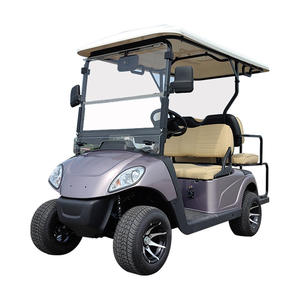 Carrito de Golf Eléctrico, Atracción Turística, Autobús de Transporte para Hoteles, Patrulla, Autobús de Transporte, Recepción Inmobiliaria Todoterreno, Vehículo de Visita - Product Image 1