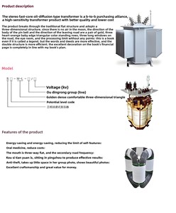 Transformador S13 Sumergido en Aceite con Certificación CE, 30-2500kVA, 10kV/35kV, Trifásico, Aleación Amorfa, Baja Pérdida, 50/60Hz, Toroidal - Product Image 6