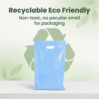 Sacs de courses en plastique personnalisés réutilisables avec poignée découpée, imperméables et anti-poussière, imprimés de luxe pour chaussures et vêtements