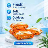 Lingettes humides écologiques et biodégradables en fibre de bambou, vente en gros, fourniture d'usine pour les voyages, l'extérieur et le nettoyage quotidien