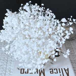Ghirlande e Piante Floreali <span class=keywords><strong>Decorative</strong></span> Mini Fiori Stabilizzati Nebbiolina Fiori Secchi Ghirlande Bianche Bouquet Gypsophila YFM - Product Image 3