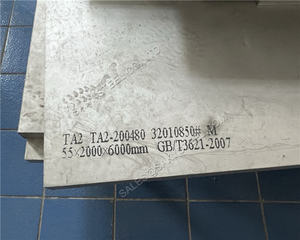 Placa de Titanio ASTM B265 Gr2, Proveedor de Láminas de Titanio Puro - Product Image 2
