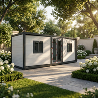 Maison préfabriquée pliable de luxe moderne de 40 pieds, étanche et extensible, pour usage en villa et hôtel