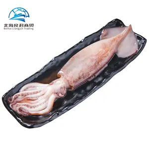 Оптовая продажа от китайских производителей высококачественных и доступных свежих кальмаров для ловли замороженных цельных круглых кальмаров