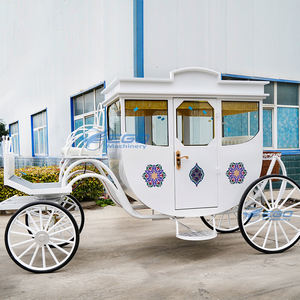 2025 en çok satan beyaz at çizilmiş kraliyet düğün arabası satılık elektrikli atsız gezi düğün kraliyet arabası - Product Image 1