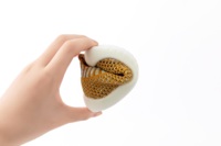 Chaussures pour tout-petits aux couleurs vives, chaussettes pour bébés à semelle souple rayée, respectueuses de la peau, adaptées aux chaussures pour bébés de petite taille