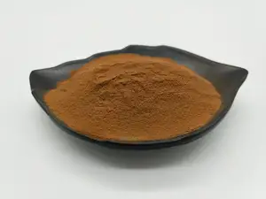 Factory Wholesale Price Natural Osmanthus Flower Extract 10:1 Osmanthus Fragrans Extract