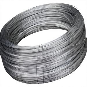 Fournisseur d'usine 20kg 18g 25kg 50kg par rouleau 1mm 2mm Fil de fer galvanisé à chaud en acier pour la fixation de mailles de corde - Product Image 1