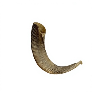 Shofar en corne de cerf véritable, corne brute naturelle, instrument traditionnel fait main AZ ENTERPRISES Uttar Pradesh, toucher authentique pour la vente en gros - Product Image 3