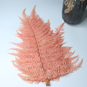 Reale Vita Eterna Fiori Grandi Foglie di Felce Fiddlehead Materiale per Tutti I Giorni Della Decorazione Garniture Decorazione - Product Image 4