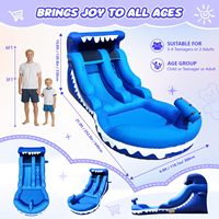 FBSPORT Toboggan aquatique commercial en PVC à double voie, jeux gonflables, châteaux gonflables ou toboggans gonflables pour enfants, fabriqués en Chine