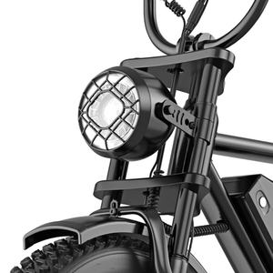 Bicicleta Eléctrica Fatbike con Neumáticos de Aire de 20 Pulgadas, 250w/750W, Estilo Vintage, Batería de 48V 20Ah, Disponible en Almacenes de la UE y EE. UU. - Product Image 5