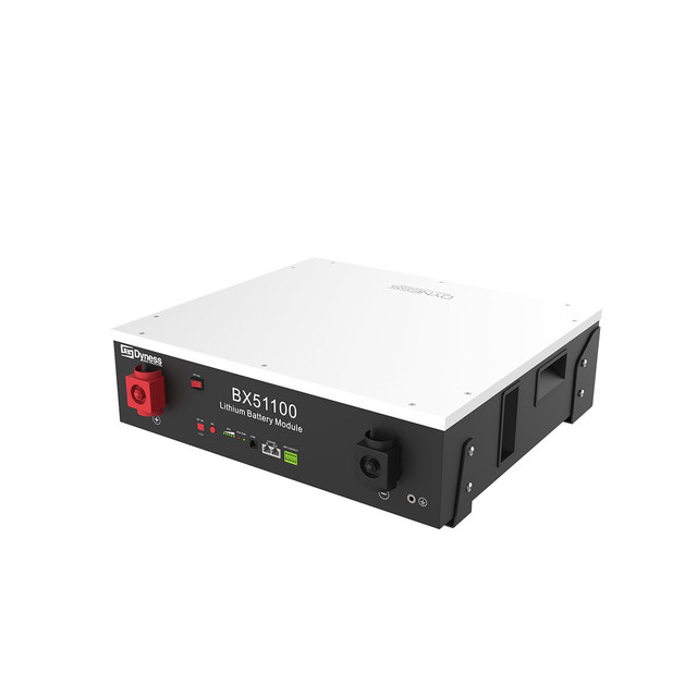 DAH 51.2V 100AH 5.12kWh LiFePO4 Battery Low Voltage Dyness Lithium Battery