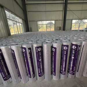 Membrana Autoadesiva in HDPE per Gallerie, Ponti, Ponti Pedonali, Metropolitane, Seminterrati, Cucine - Anticorrosione con Garanzia di 5 Anni - Product Image 3