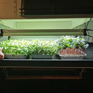 Indoor Garden Cheap Desk Lamp Full Spectrum White Bloom 18w Bars Led Grow Light Microgreen Seed Growing