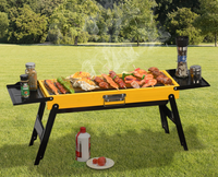 Barbecue portable pliable avec support de rangement, camping en plein air, pique-niques, barbecue, facile à assembler