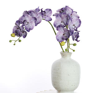 H-587 anggrek ungu lateks grosir 7 kepala bunga anggrek putih anggrek <span class=keywords><strong>Phalaenopsis</strong></span> sentuhan nyata anggrek - Product Image 5