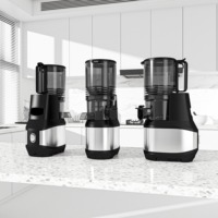 High-end 250W 5,91 inch brede invoeropening koude pers slowjuicer fruitpers commerciële roestvrijstalen slowjuicer