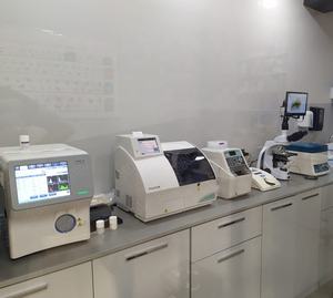 Analizzatore ematologico <span class=keywords><strong>Mindray</strong></span> <span class=keywords><strong>BC</strong></span>-30Vet veterinaria 4 parti differenziale CBC macchina <span class=keywords><strong>BC</strong></span> <span class=keywords><strong>2800</strong></span> Vet - Product Image 5