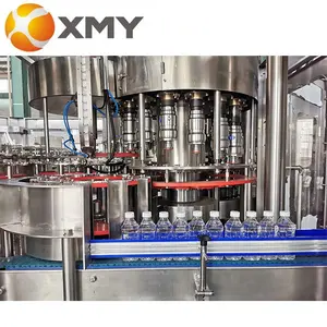 Small Scale Bottle Water Filling Machines Production Line Plant For Mineral Water