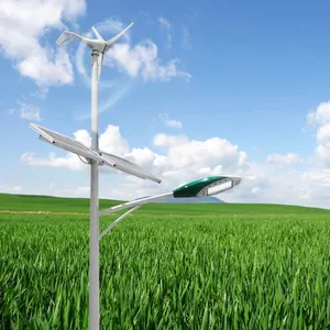 Aangepaste Wind Solar Hybride Straatlantaarn Met Camera 200W Wind Zonne-Energie Hybride Led Straatlantaarn