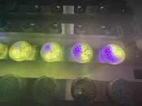16 bombillas/lote E14 AC24 RGB luces de punto LED preprogramadas automáticas 6 píxeles/36 LED IP67 Rueda de la fortuna 60mm Luz de píxeles