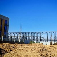 Structure en acier pour atelier de réparation automobile et de stockage de voitures, porte large, grand espace pour les véhicules et les travaux de réparation
