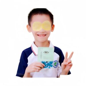 Prodotti di <span class=keywords><strong>medicina</strong></span> <span class=keywords><strong>tradizionale</strong></span> <span class=keywords><strong>cinese</strong></span> Moxa e luteina essenza impacco freddo artemisia bende per gli occhi per proteggere la salute degli occhi - Product Image 4