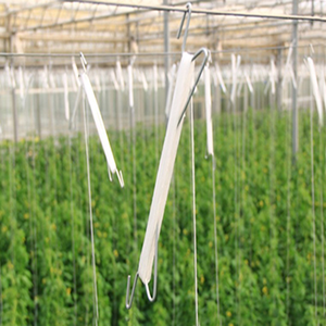<span class=keywords><strong>Serre</strong></span> agricole multi-travées économique en acier galvanisé avec film plastique PP, accessoires pour jardin potager suspendu - Product Image 2
