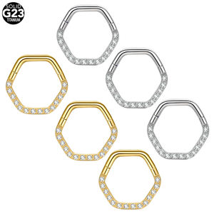 Moda implante grado titanio alta calidad precisión con bisagras hexágono segmento anillo nariz tabique <span class=keywords><strong>Piercings</strong></span> con circón - Product Image 1
