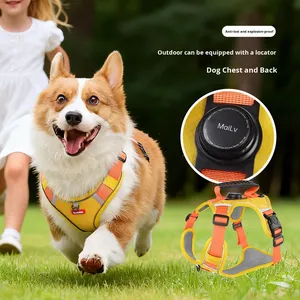 Nuevo Arnés y Correa para Perro de Poliéster, Clásico, Encantador y Sencillo, con Localizador Anti-Impacto, Correa de Pecho Reflectante, Chaleco para Mascotas (Estilo Moderno) <span class=keywords><strong>4</strong></span> - Product Image 4